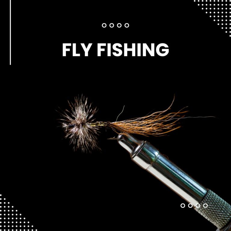 Fly Fishing