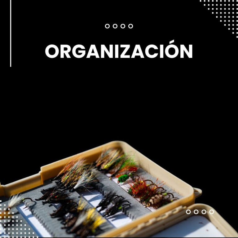 Organización